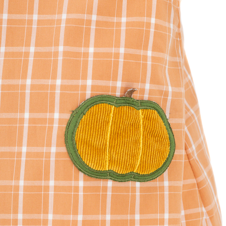 luis orange plaid pumpkin bubble on stork