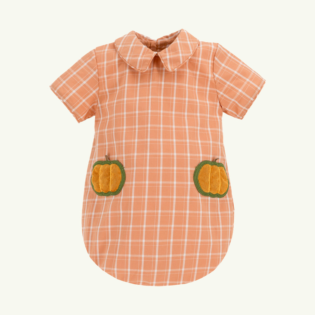 luis orange plaid pumpkin bubble on stork